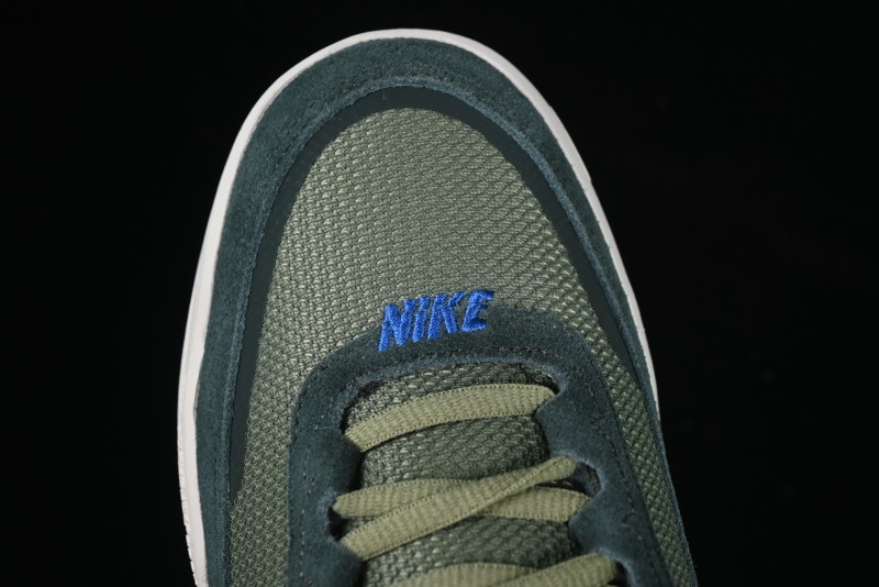 Nike SB Day One Low Top Casual Skate Shoes with Air Zoom Cushion - FN4210-300