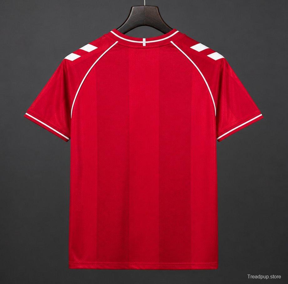 2026 Denmark Home Jersey